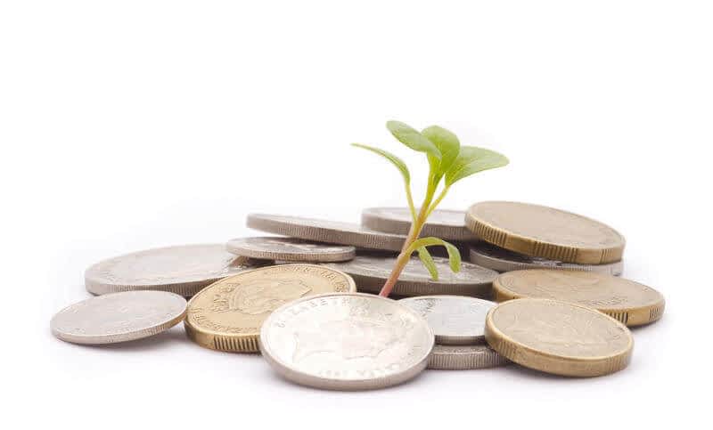 Financial growth coins.